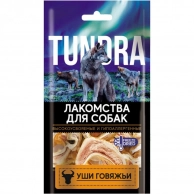 ��������� ��� ����� Tundra ��� �������
