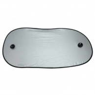 ����� ������ ������������� Koopman �� ������� ������ 100�50 �� 2 ��