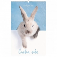 Календарь Канц-Эксмо Символ Года 5 Евроспираль 280х435 мм 2023 год