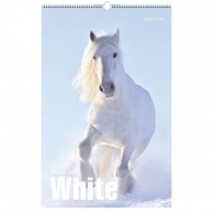 Календарь Канц-Эксмо White Евроспираль 280х435 мм 2023 год, Кулинария