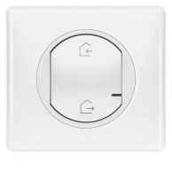 Главный беспроводной выключатель