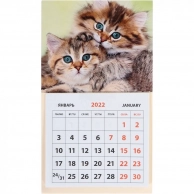 Календарь Медный Всадник На магните отрывной Кр33 2022 год