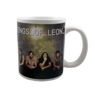  Kings Of Leon - Band Photo