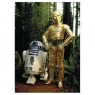 ������ Star Wars - C-3PO   RC-D2