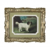 ������� Glasar � ������������� ���� ����� � ����, 27x2x32 ��