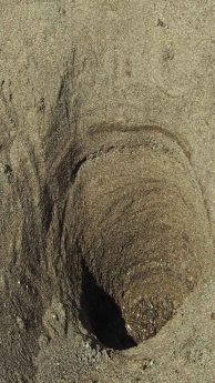 ����� �������� � ������