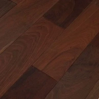 ��������� ����� Magestik Floor ��� , �������