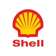   Shell (  )