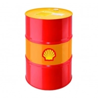   Shell Helix, Shell Rimula ()
