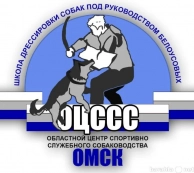 дрессировка собак в Омске