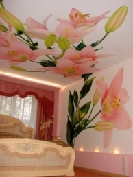 Тканевые потолки Clipso в Ставрополе