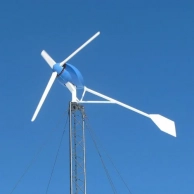 Сапсан - 1000 в Калуге