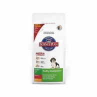     Hills,      Hills    1 