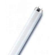 �������� � �������� ������� OSRAM, ����� �������������� OSRAM 36 �� G13 �������� ����
